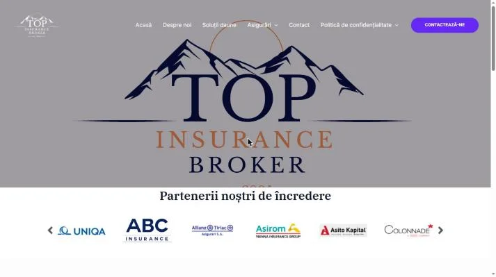 Homepage-ul vechi Top Insurance Broker: doar logo-ul pe fundal gri, fără mesaj